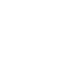 logo-sebrae.webp