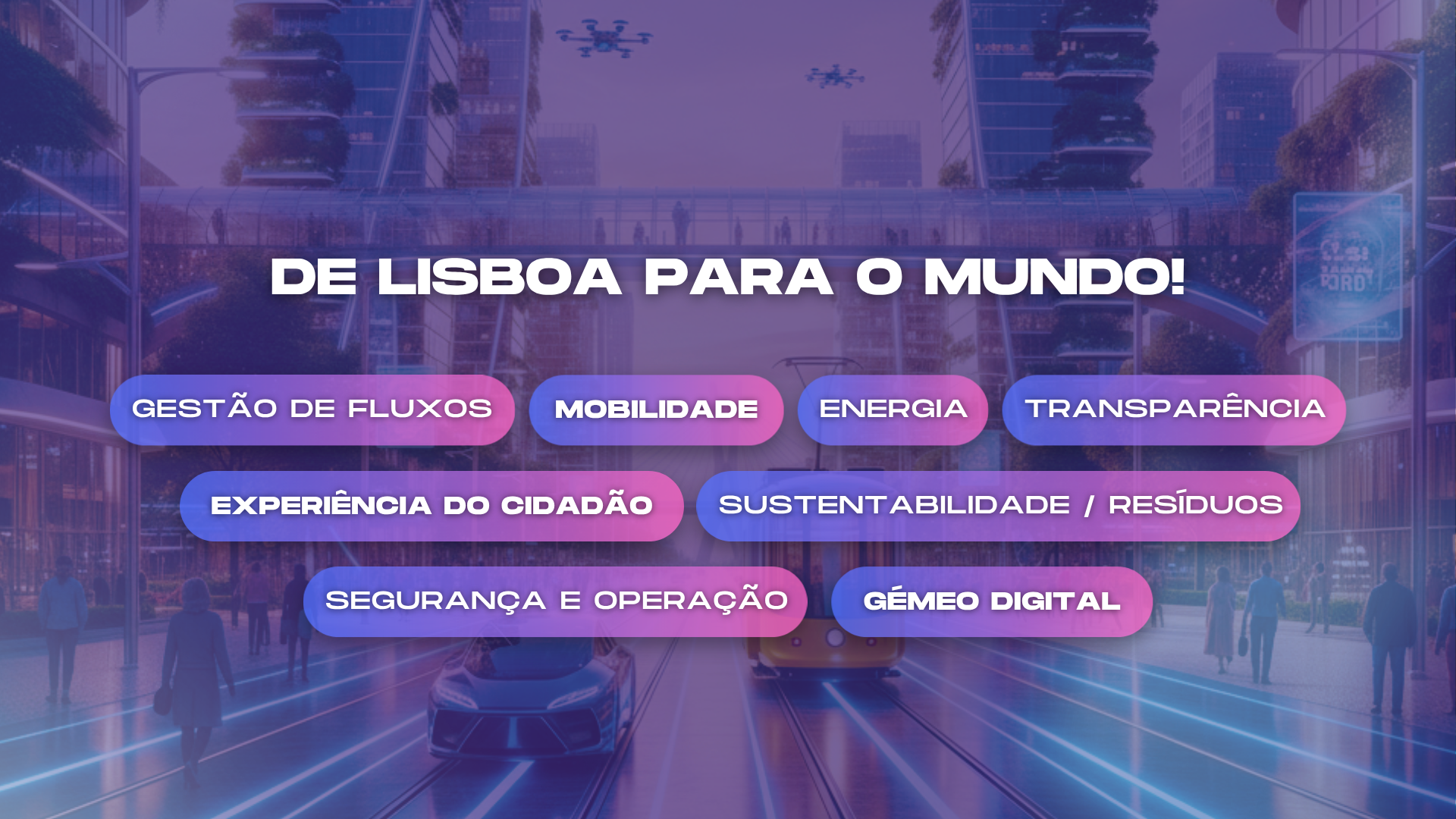 pilotos lisboa
